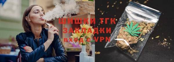 соль ск Богородицк